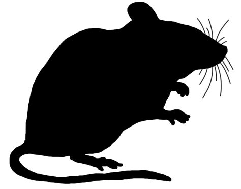 Mouse Clipart Outline