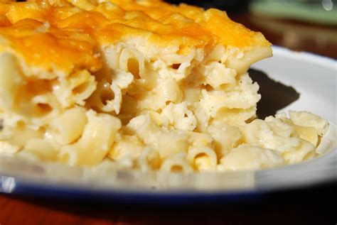 Persimmon Pudding: Creamy Garlic & Cheese Pasta Bake