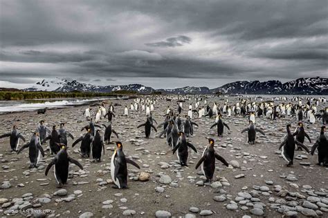 Essential Antarctica Photography Tips: Creative & Practical