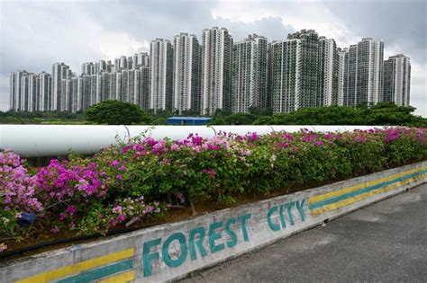 Malaysia's Forest City teeters over China property giant woes - L