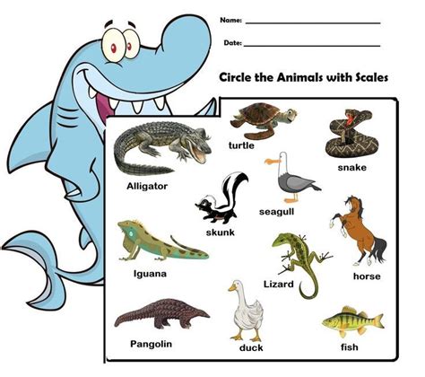 Scales Learning Animals in 2022 | Comics, Autism help, Animals