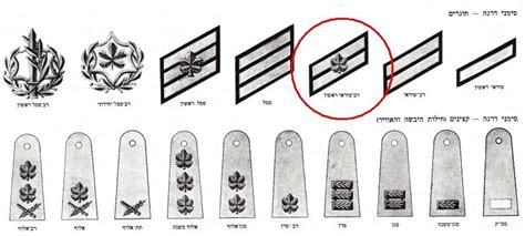 Israel Defence Force Rank Insignia 1967 : Herbert Booker : Free ...