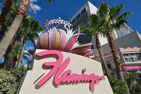 Flamingo 🏵🏵🏵🌸#LasVegas | Flamingo, Tickled pink, Las vegas valley