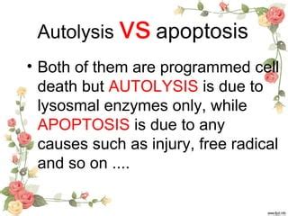 Autolysis pathology ppt | PPT