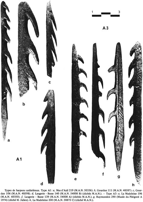 Harpoons from the Paleolithic