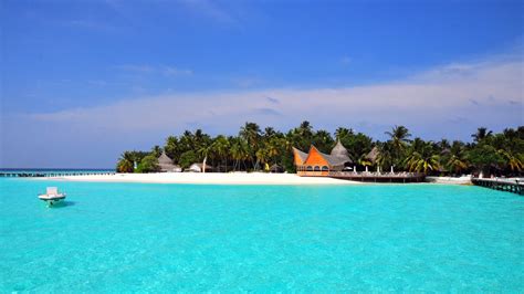 beach, sand, palm, island, tropical, maldives, 4k HD Wallpaper