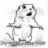 Prairie Dog Coloring Pages  Free & Printable sketch template