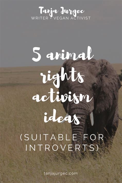 5 animal rights activism ideas (suitable for introverts) • A vegan & lifestyle blog | Animal ...