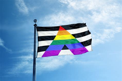 Understanding the Ally Flag: Meaning, Symbolism, and Products – We are Pride