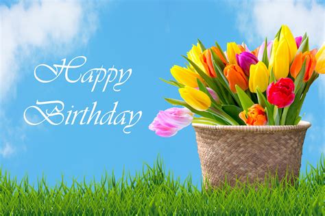 Tulips In Basket Birthday Card Free Stock Photo - Public Domain Pictures