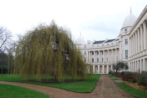 The Londoner Annual: London Business School