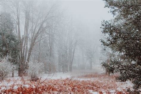 Picture-Perfect Snow Day At Palomar Mountain: Photos Of The Week ...