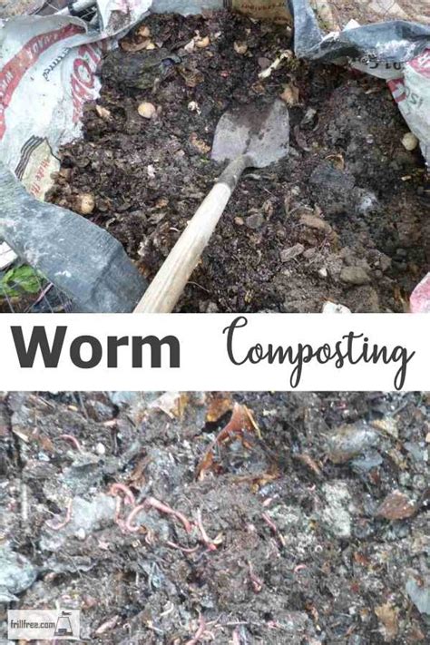 Worm Composting - utilize the lowly but mighty earthworm