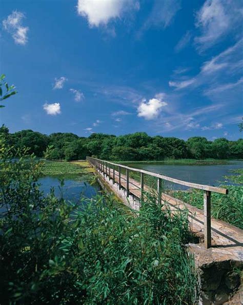 Holidays In Wales: Bosherston Lily Ponds & Broad Haven Beach Pembrokeshire