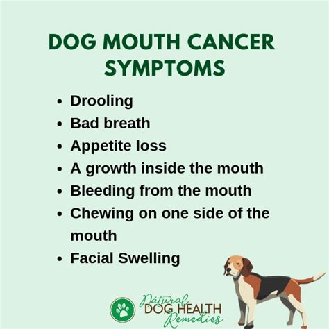 Canine Mouth Cancer | Symptoms and Treatment of Dog Oral Cancer