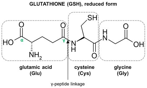 Glutathione, health benefits, uses, dosage, safety & side effects