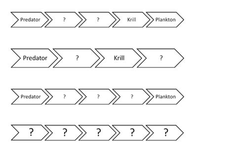 Antarctica food chain templates/gap-fill | Teaching Resources