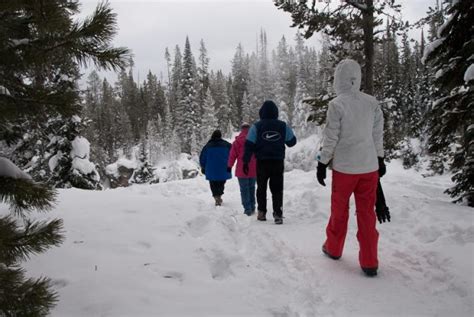 Yellowstone National Park Is Even More Magical In Winter Than Summer