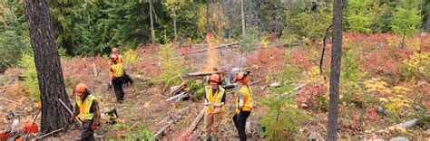 Sustainability in the West Kootenay: Panel presentation – Wildsight