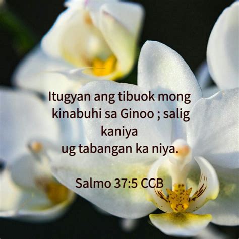 #bisayaquotes #cebb #ccb #cebuano #bisayaverses