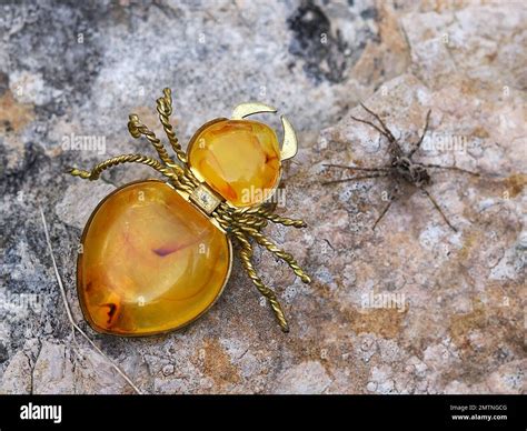 Amber spider on stone with real spider. Amber spider made in the USSR ...