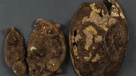 Norwegian family looking for lost earrings, finds ancients Viking-era artifacts instead