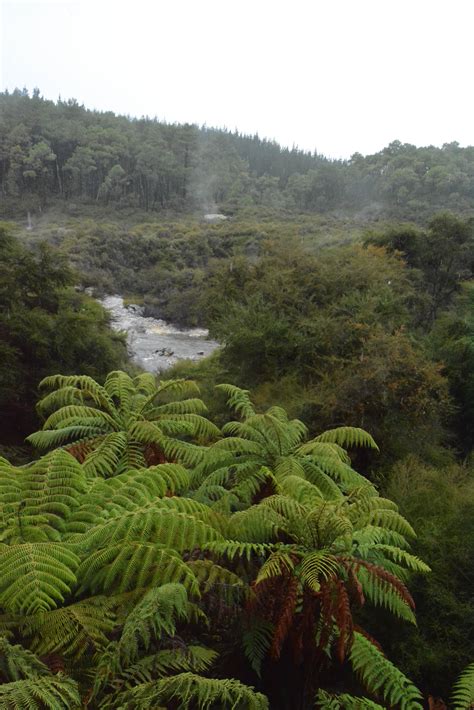 Elevation of Wai-O-Tapu, Waiotapu Loop Rd, Rotorua, New Zealand - Topographic Map - Altitude Map