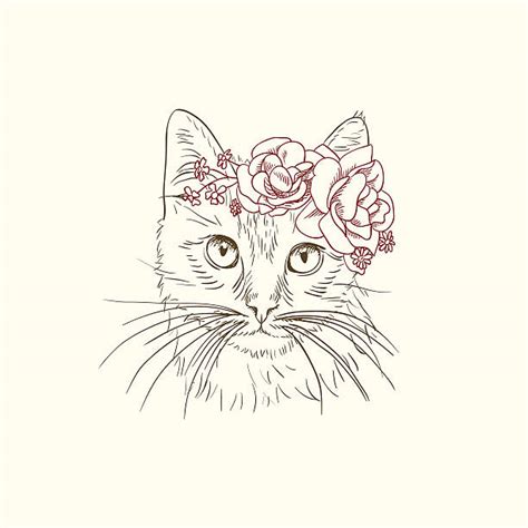 Cat Roses Illustrations, Royalty-Free Vector Graphics & Clip Art - iStock