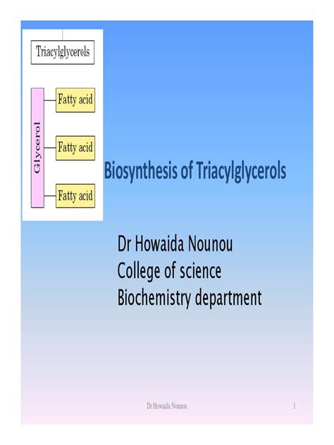 Triacylglycerol synthesis.pdf | Triglyceride | Biosynthesis