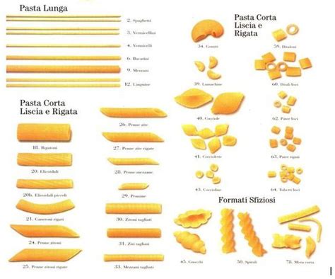 Types de pâtes italiennes en 2020 | Cuisine italienne, Formes de pâtes ...