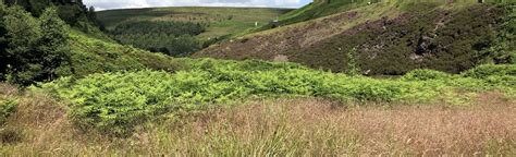 Bleaklow Stones, Derbyshire, England - 9 Reviews, Map | AllTrails