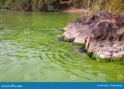 Cyanobacteria in Taihu Lake Stock Image - Image of natural, covering: 69379201