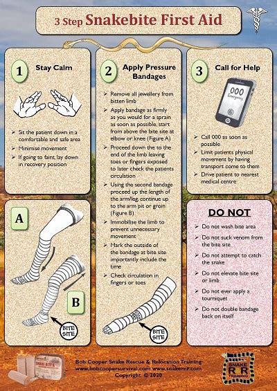 NEW Release Snake Bite First Aid Treatment Poster | Bob Cooper Outback Survival