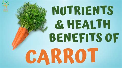 Carrot - Nutrients and Health Benefits of Carrots When Taking Daily ...