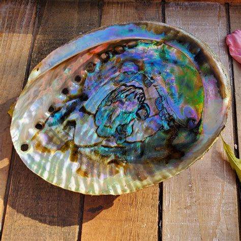 Large Abalone Shell Colorful Abalone Shell Natures painting | Etsy