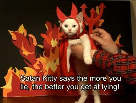 Pin by 𝐜𝐥𝐨𝐮𝐝 𝐬𝐮𝐧 on Lucifer | Cats, Cat owners, Cat memes