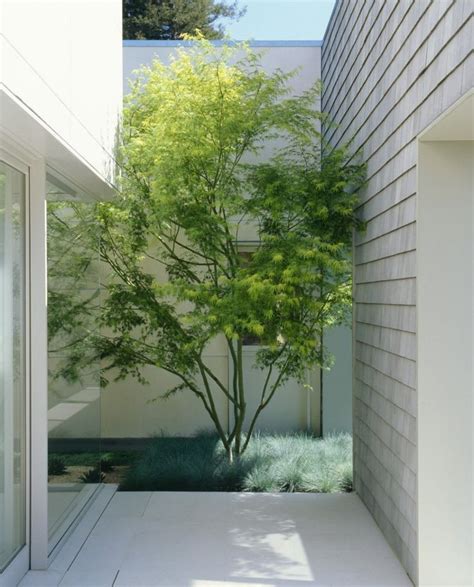 16 Minimal Courtyards with Just a Hint of Nature