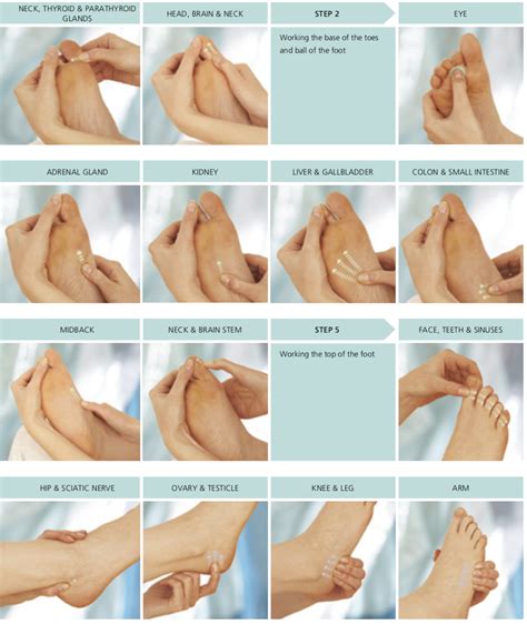 Complete self-help foot sequence | Foot massage techniques, Massage techniques, Massage therapy