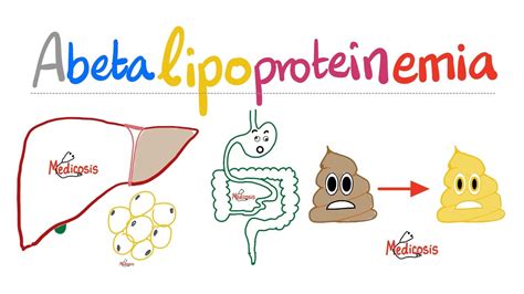 Abetalipoproteinemia | Inherited lipid disorders (Dyslipidemia ...