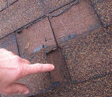 The Right Time To Repair Your Shingle Roof