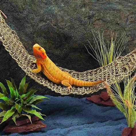 Lizard Hammock Swing Pet Kitten Cat Lounger Reptile Toy Hanging Seaweed ...