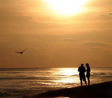 Spend Valentine’s Day on Sanibel Island this Year | Blind Pass Condominium Blog