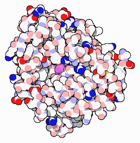 PDB-101: Penicillin-binding Proteins | Penicillin, Cell wall, Protein