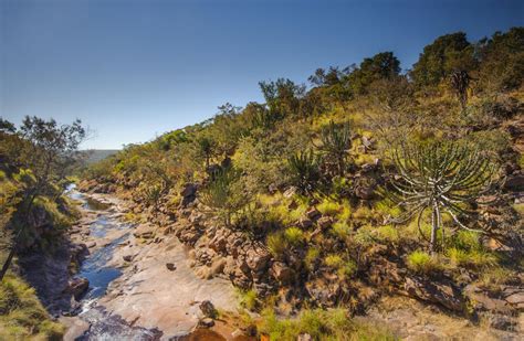 Waterberg, Limpopo Province, South Africa