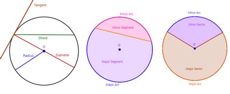 Circles: Diameter, Chord, Radius, Arc, Tangent