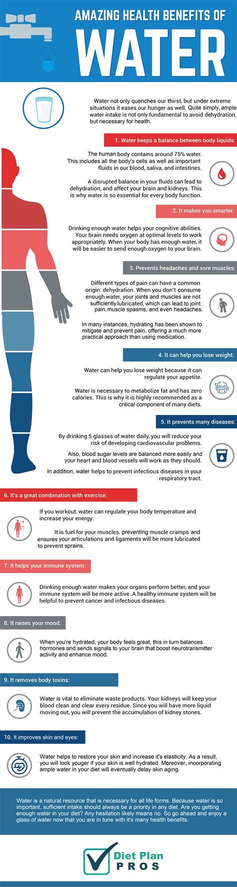 10 Amazing Health Benefits of Water - Staying Hydrated | Diet Plan Pros