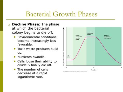 5 Phases Of Bacterial Growth