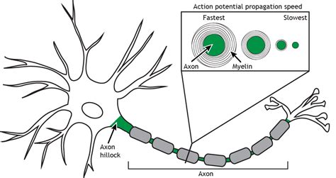 Axon face2face - thinknibht