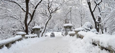 Winter in Bucharest - pictures to see the beautiful snow