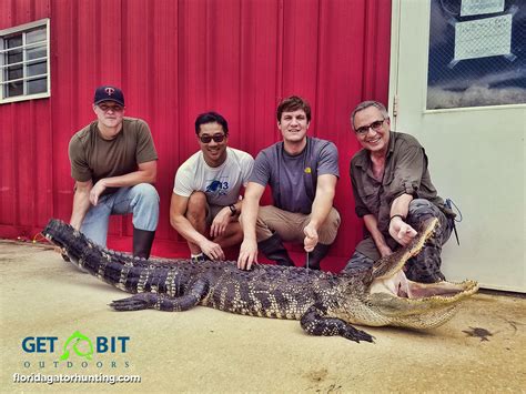 Gator Hunts Gallery – Trophy Florida Gator Hunting By Get Bit Outdoors